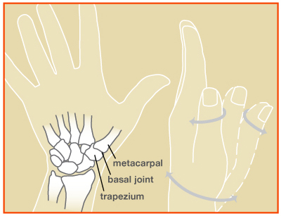 Thumb Basal Joint